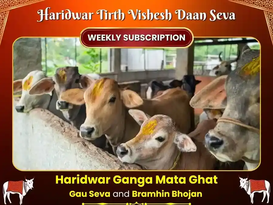 Guruvar Haridwar Ganga Ghat Weekly Gau Seva & Bramhin Bhojan puja image 1