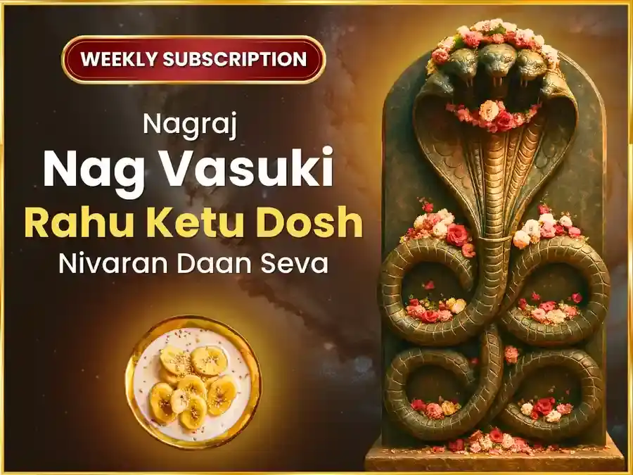 Somvar Rahu Ketu Dosh Nivaran Weekly Nagvasuki Daan Seva puja image 1