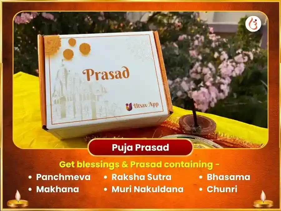 Maa Bagalamukhi Pratyangira Sanyukt 18000 Mool Mantra Jaap & Nimboo Mirchi Hawan puja gallery 3