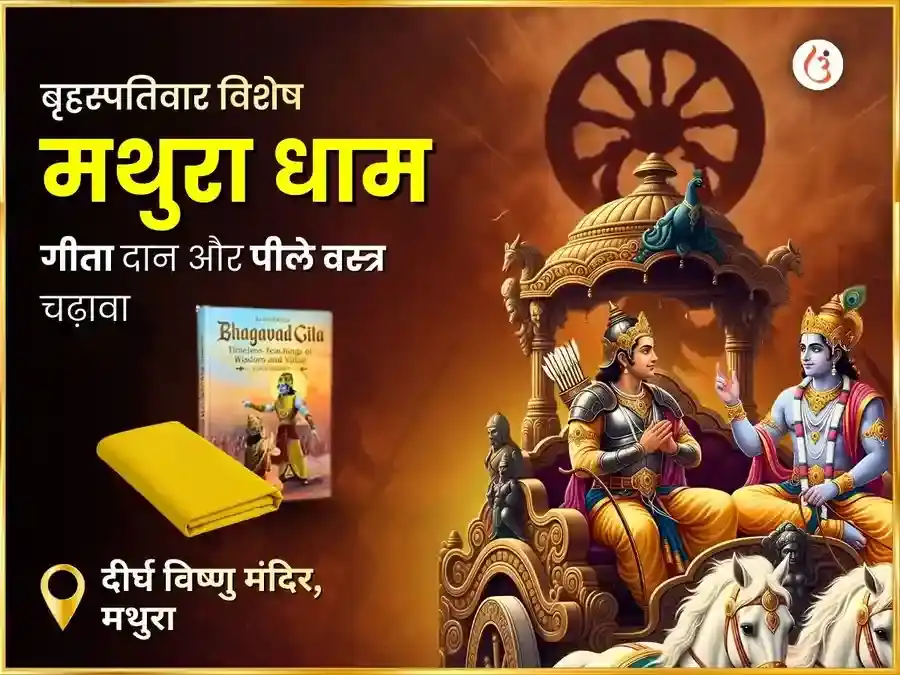 1008 विष्णु सर्व दोष निवारण मंत्र जाप, पीत वस्त्र एवं केला दान puja image 1