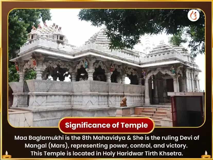 Maa Baglamukhi 11000 Shabar Mantra Jaap puja gallery 4