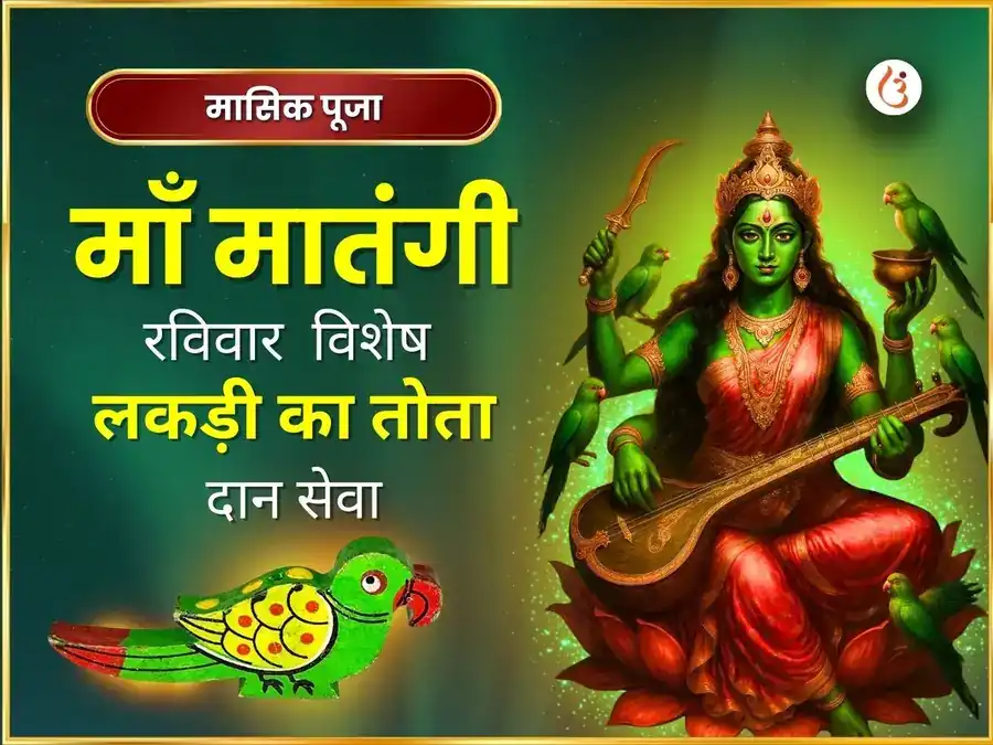 रविवर विशेष मां मातंगी सप्ताहिक लकड़ी का तोता दान सेवा puja image 1