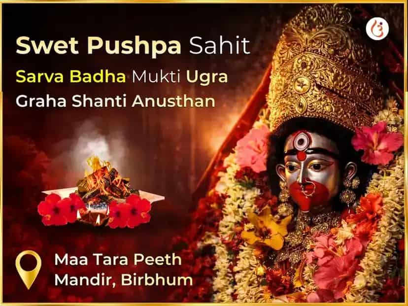 Shwet Pushpa Sahit Sarva Badha Mukti Ugra Graha Shanti Mahaanushthan  puja image 1