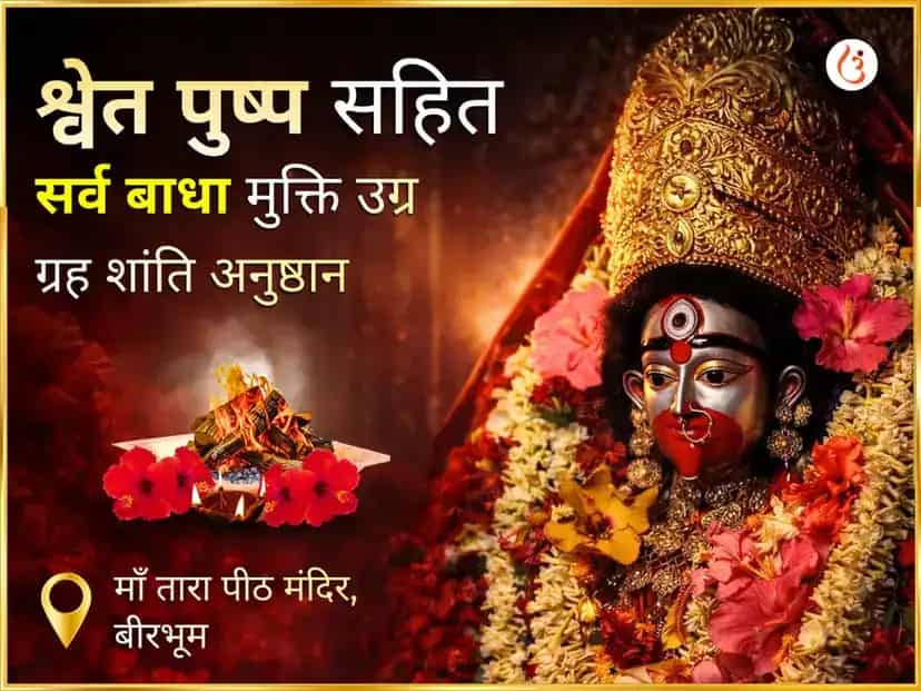 श्वेत पुष्प सहित सर्व बाधा मुक्ति उग्र ग्रह शांति महाअनुष्ठान puja image 1