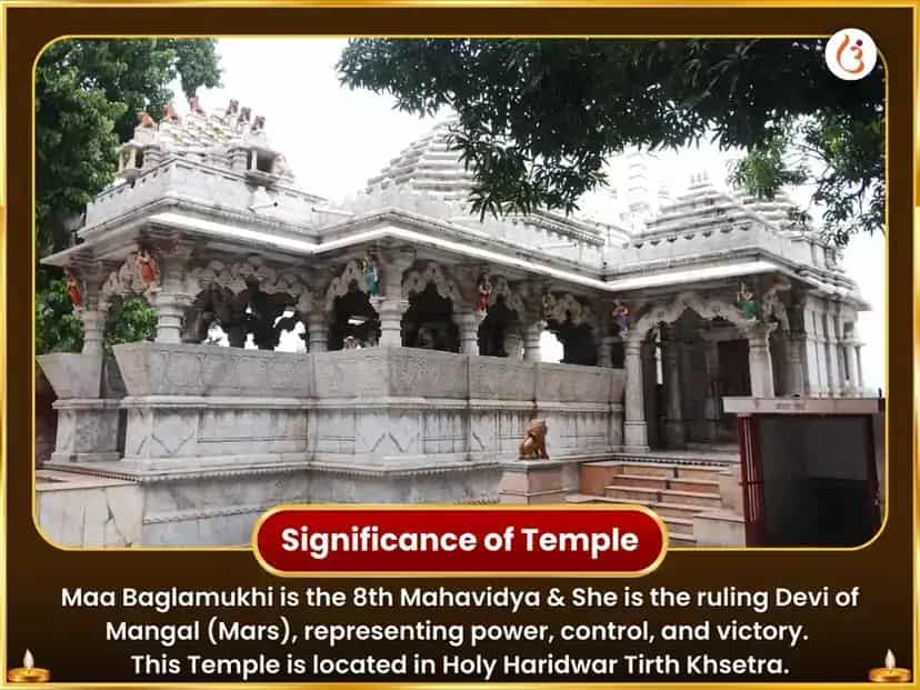 బగళాముఖి జయంతి ప్రత్యేక మోహినీ–బగళాముఖి సంయుక్త మీఠా భోగ్ మరియు రాజమోహిని హవనం puja gallery 4