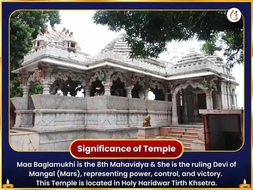 Chaitra Navratri Mahashtami Vishesh Haridra Ganpati & Maa Baglamukhi Sanyukt Haldi Mirchi Maha Hawan puja gallery 4