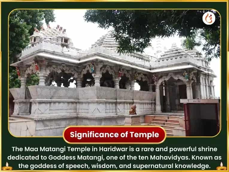 Raja Shamala Raaj Matangi Maha Hawan Anusthan & Parrot Seva puja gallery 4