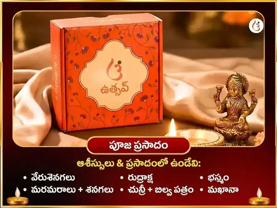 మా కామాఖ్య నజర్ దోష్ నివారణ తంత్ర సిద్ధి మహా పూజ puja gallery 3