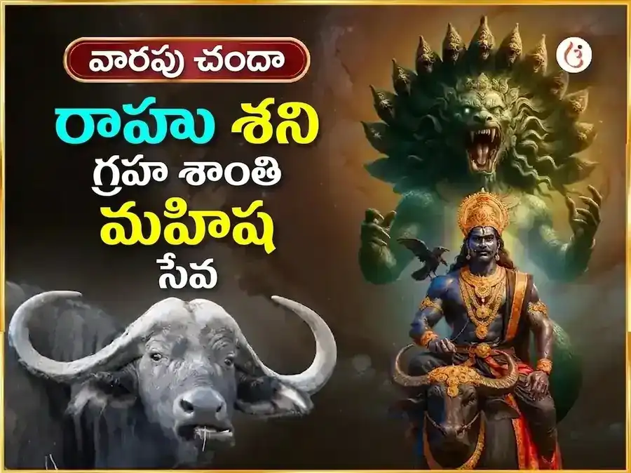 శనివార్ విశేష్ రాహు శని గ్రహ శాంతి వారపు మహిష సేవ puja image 1