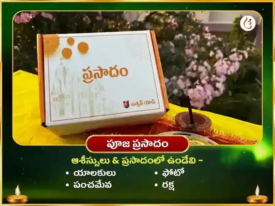 18000 మూల మంత్ర జపం మరియు రాహు శాంతి మహా హవనం puja gallery 3