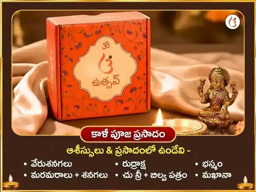 23000 శని మూల మంత్ర జపం & భద్రకాళి తాంత్రిక హవనం puja gallery 3