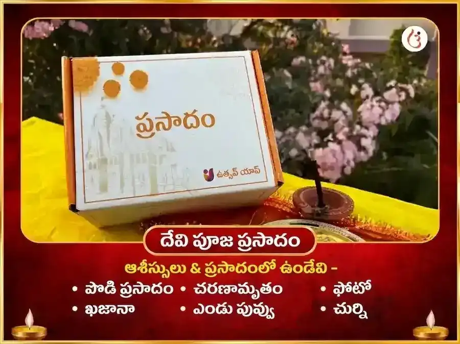 21000 రాహు బీజ మంత్ర జాప్ మరియు మా చింతపూర్ణి రాహు శాంతి మహా అనుష్ఠాన్ puja gallery 3