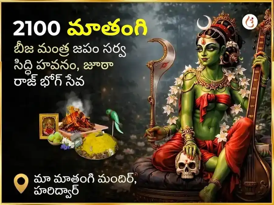 2100 మాతంగి బీజ మంత్ర జపం, సర్వ సిద్ధి హవనం & ఉచ్ఛిష్ట రాజ్ భోగ్ సేవ puja image 1