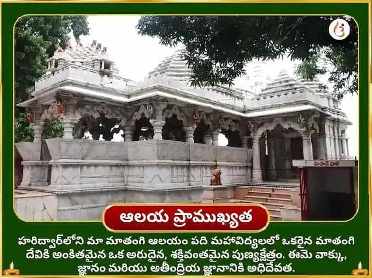 2100 మాతంగి బీజ మంత్ర జపం, సర్వ సిద్ధి హవనం & ఉచ్ఛిష్ట రాజ్ భోగ్ సేవ puja gallery 4