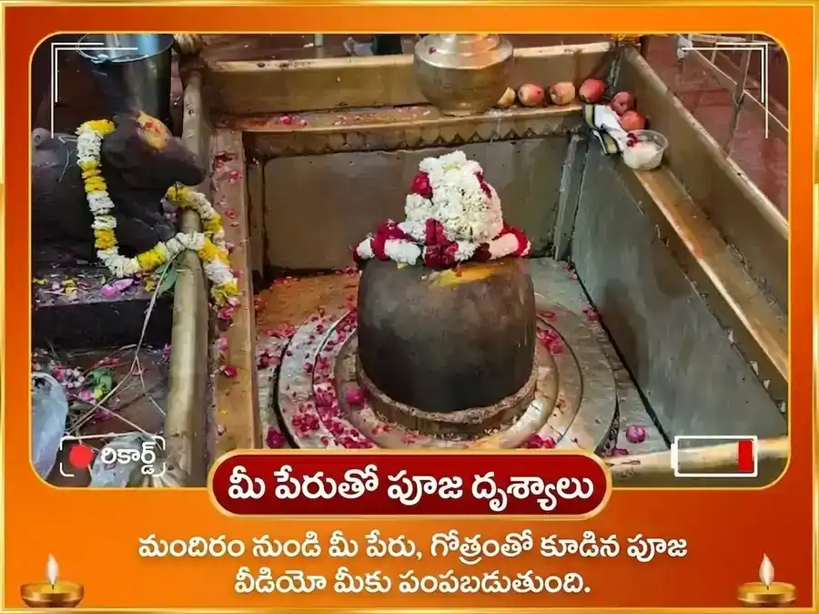 రవివార్ విశేష్ 10,000 సూర్య మూల మంత్ర జాప్ puja gallery 2