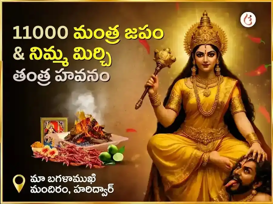 మా బగళాముఖి స్వర్ణ సమృద్ధి హవనం & 11000 మూల మంత్ర జపం puja image 1