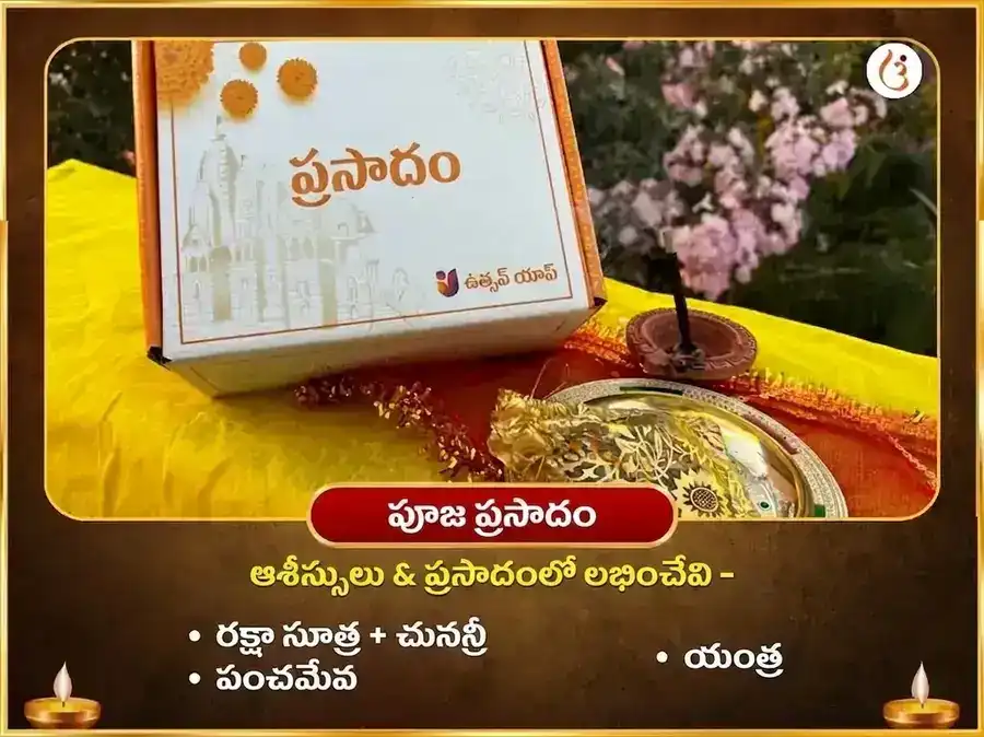 మా బగళాముఖి స్వర్ణ సమృద్ధి హవనం & 11000 మూల మంత్ర జపం puja gallery 3