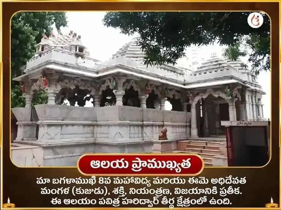 మా బగళాముఖి స్వర్ణ సమృద్ధి హవనం & 11000 మూల మంత్ర జపం puja gallery 4