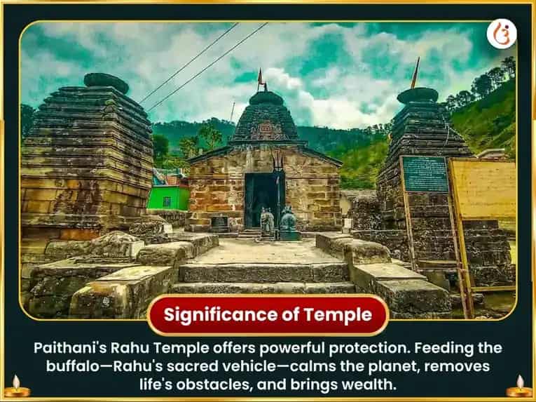 Octavian Abundance Portal Special  4:4 Divine Manifestation Portal Special 44,000 Rahu Mool Mantra Jaap & Buffalo Seva  puja gallery 4
