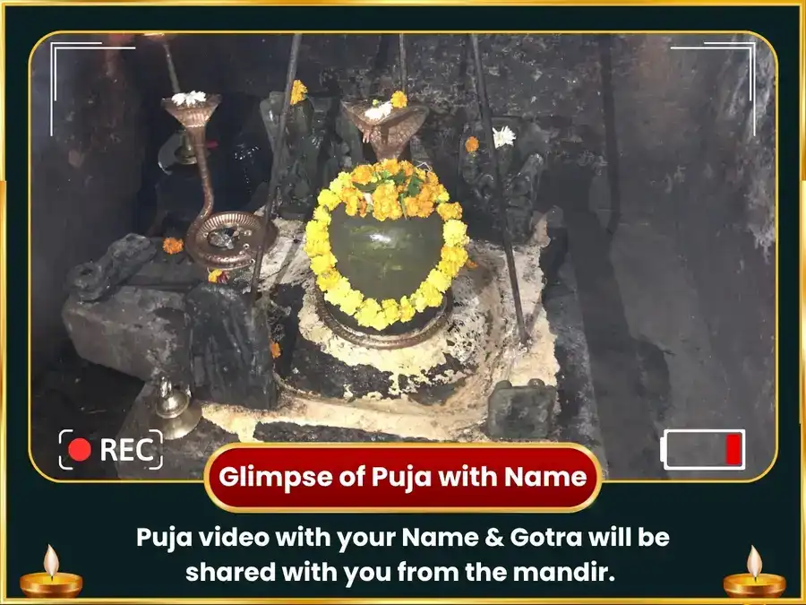 Octavian Abundance Portal Special  4:4 Divine Manifestation Portal Special 44,000 Rahu Mool Mantra Jaap & Buffalo Seva  puja gallery 2