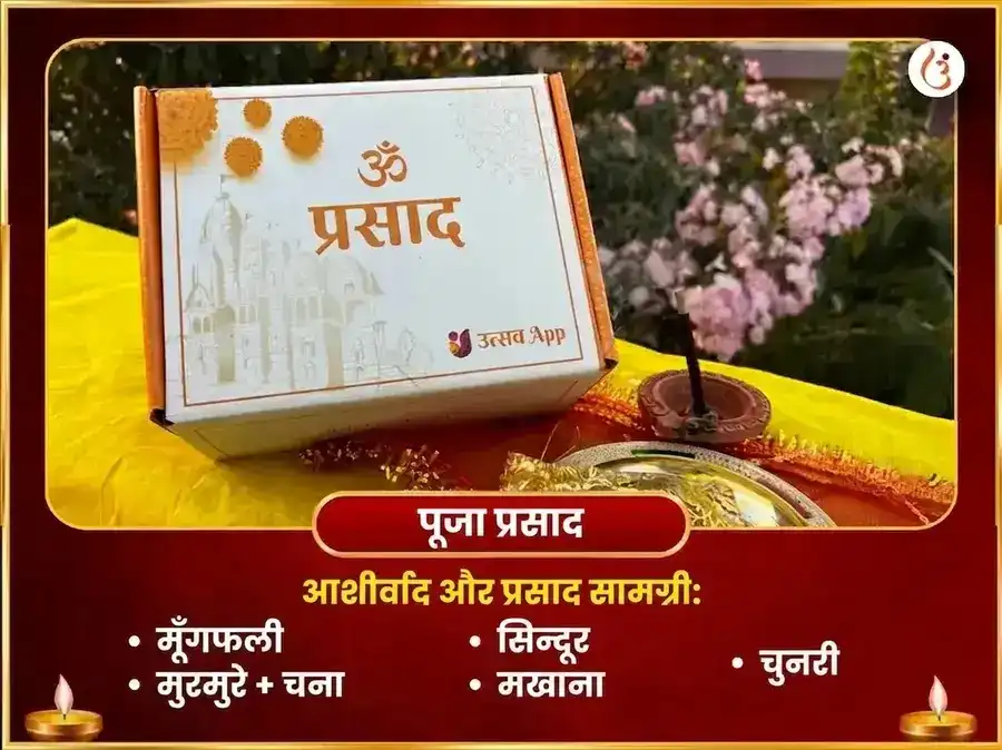 माँ भद्रकाली 108 मुंड माला सेवा और विजय समृद्धि बीज मंत्र जाप अनुष्ठान puja gallery 3