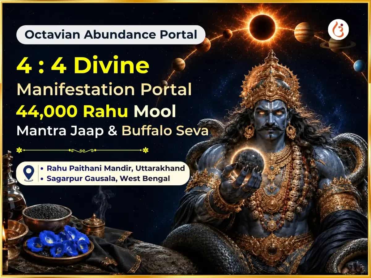 Octavian Abundance Portal Special  4:4 Divine Manifestation Portal Special 44,000 Rahu Mool Mantra Jaap & Buffalo Seva  puja image 1