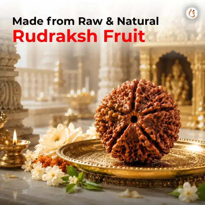Energized 5 Mukhi Rudraksh Bracelet (Original Nepali Rudraksha Beads)  - image 2